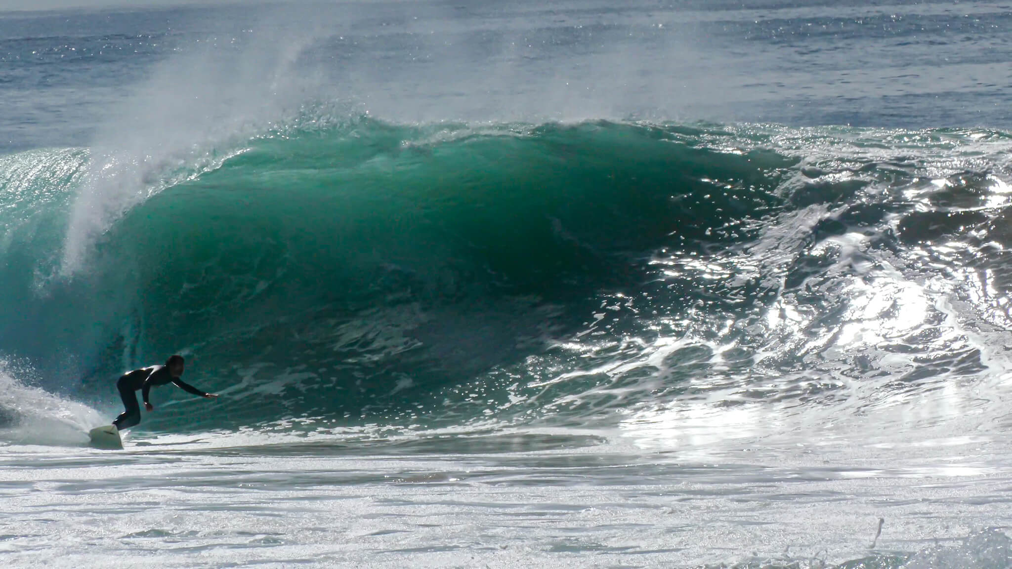 Treinador de Surf Certificado e Proprietário da Escola de Surf WaveRiders Collective na Figueira da Foz